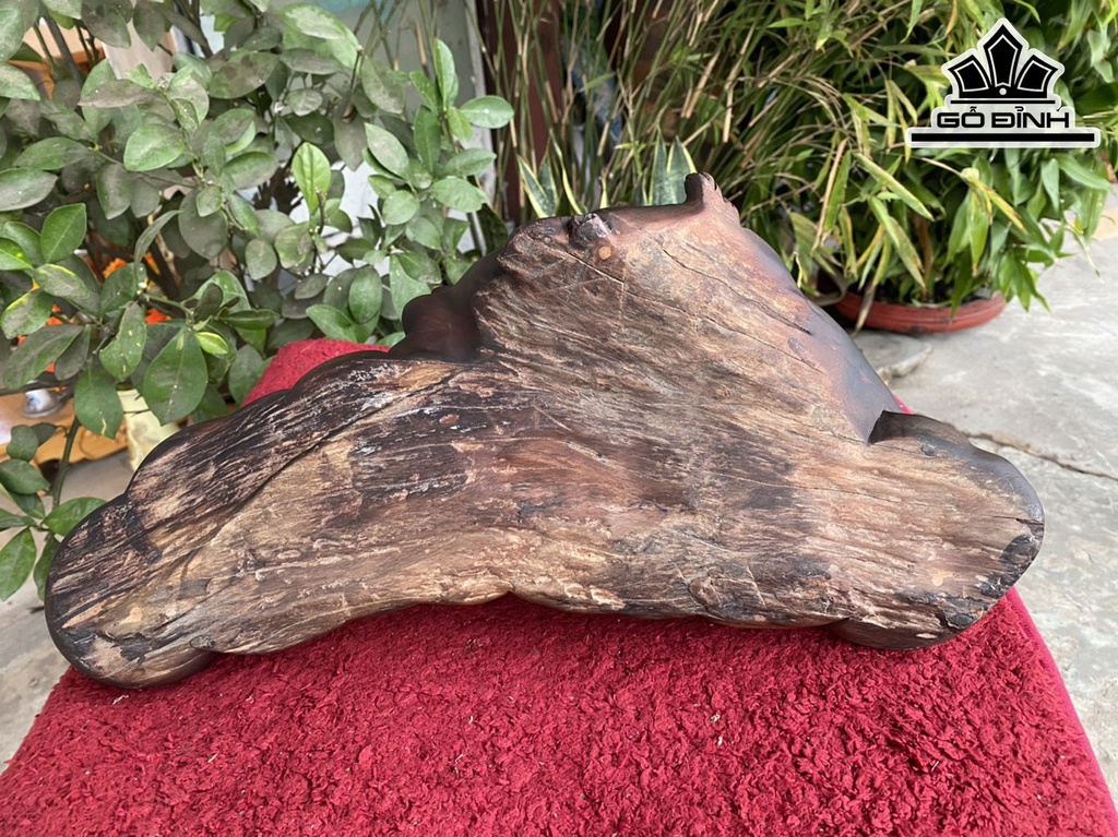 tuong-nghe-tai-loc-go-trac-cao-11-ngang-38-sau-18-cm-434213