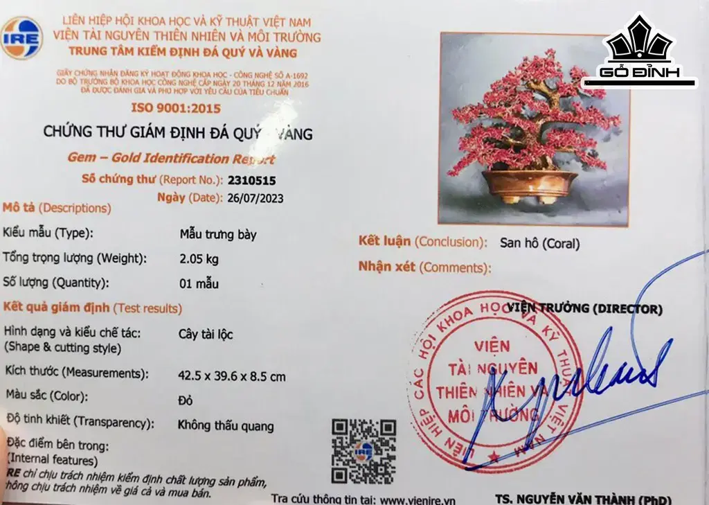 Cây Tài Lộc May Mắn San Hô Đỏ Cao 42,5 Ngang 39 Sâu 8,5 (cm)