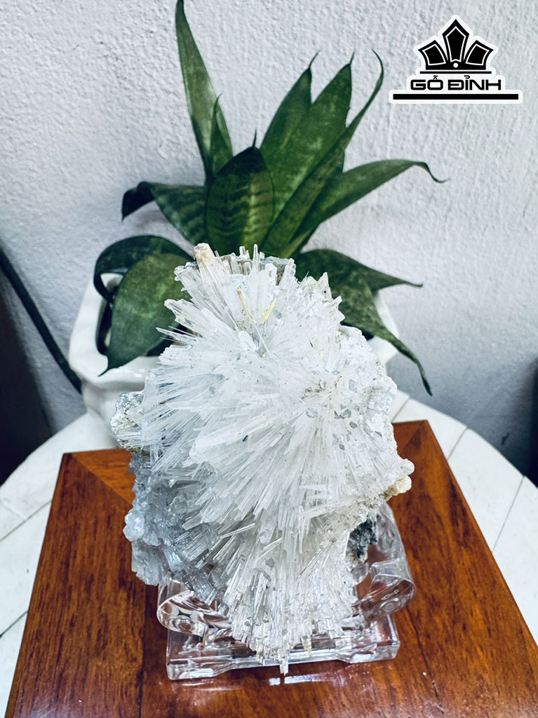 Bông Hoa Ưu Đàm Đá Trầm Tích Cao 17 Ngang 8 (cm) 0,6kg