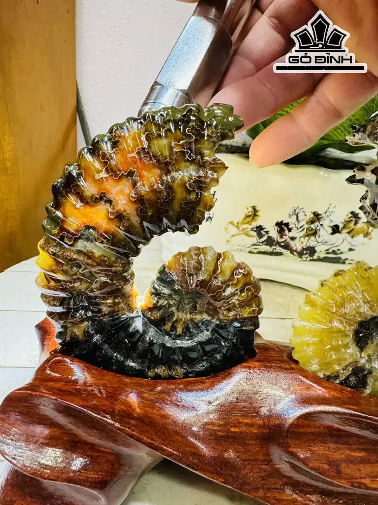 Cặp Ốc Anh Vũ Hóa Ngọc Cao 15 Ngang 20 (cm) 0,9kg