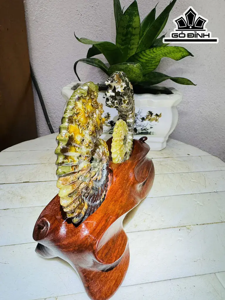 Cặp Ốc Anh Vũ Hóa Ngọc Cao 15 Ngang 20 (cm) 0,9kg