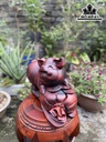 tuong-heo-go-trac-cao-30-ngang-37-sau-20-cm-435058
