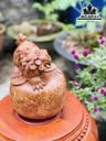 tuong-nghe-go-nu-huong-cao-23-ngang-20-sau-19-cm-435069