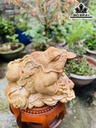 tuong-thiem-thu-go-ngoc-am-cao-26-ngang-35-sau-40-cm-435141