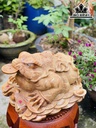 tuong-thiem-thu-go-ngoc-am-cao-26-ngang-35-sau-40-cm-435143