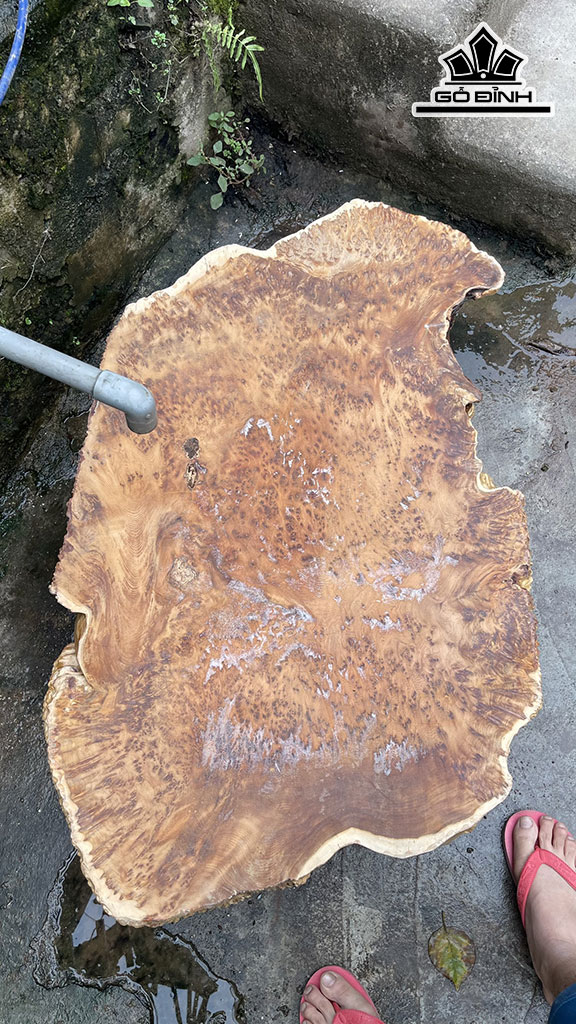 khay-tra-go-nu-ngoc-am-cao-101-ngang-60-sau-5-cm-435154