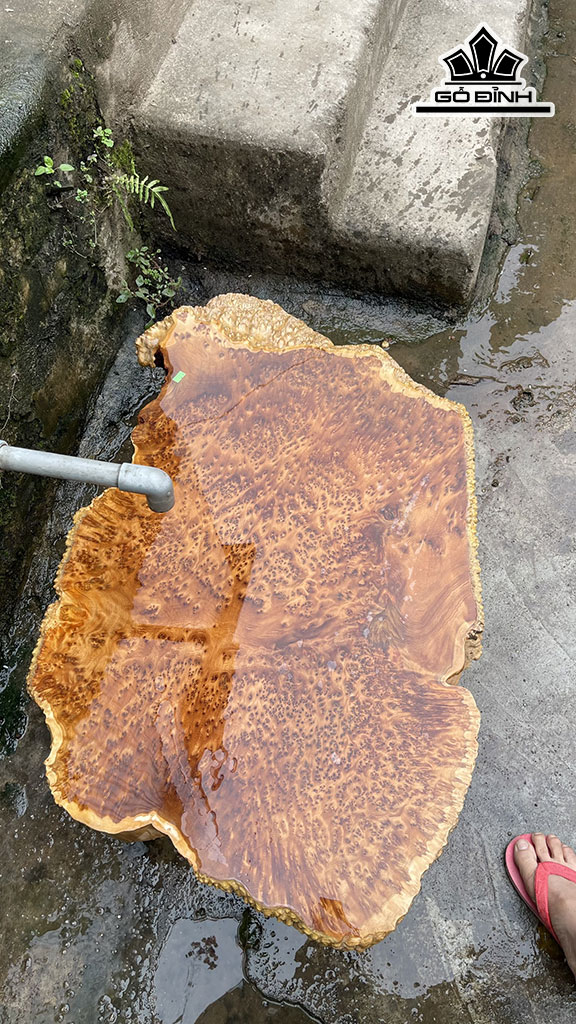 khay-tra-go-nu-ngoc-am-cao-101-ngang-60-sau-5-cm-435155