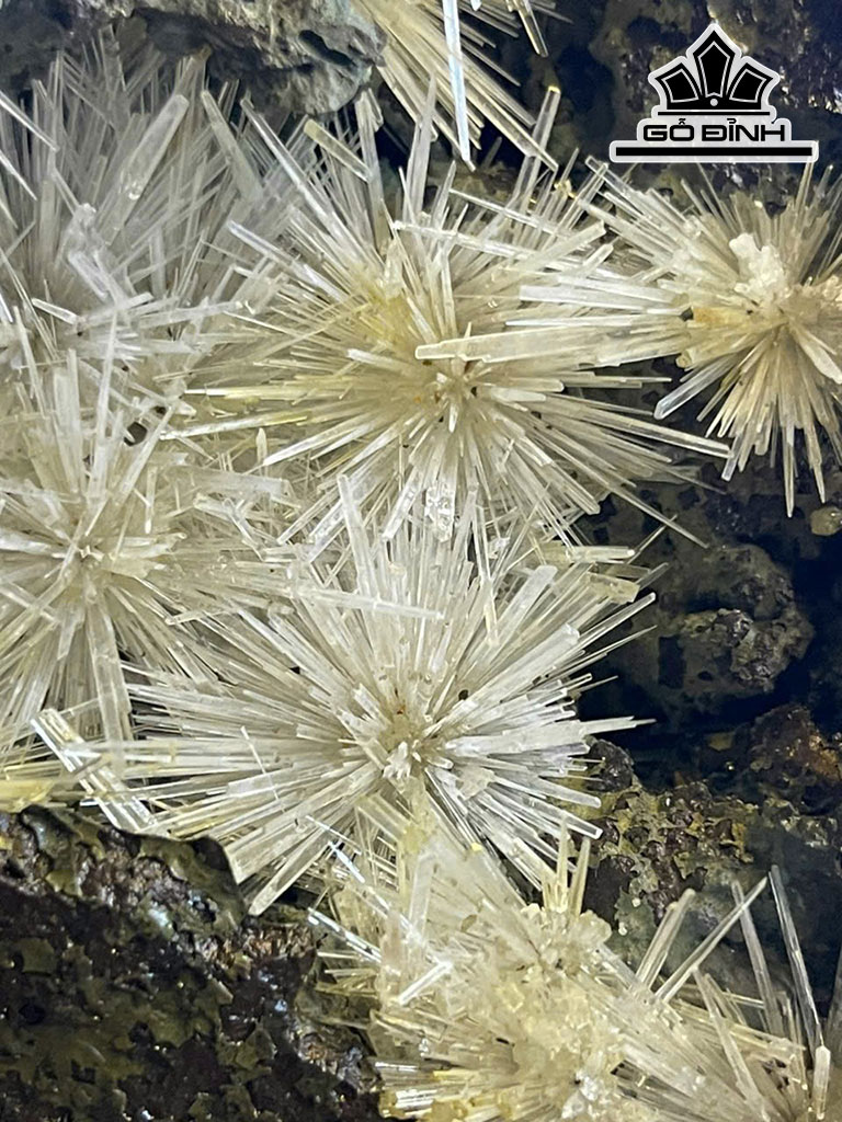 Bông Hoa Ưu Đàm Đá Trầm Tích Cao 38 (cm) 10kg