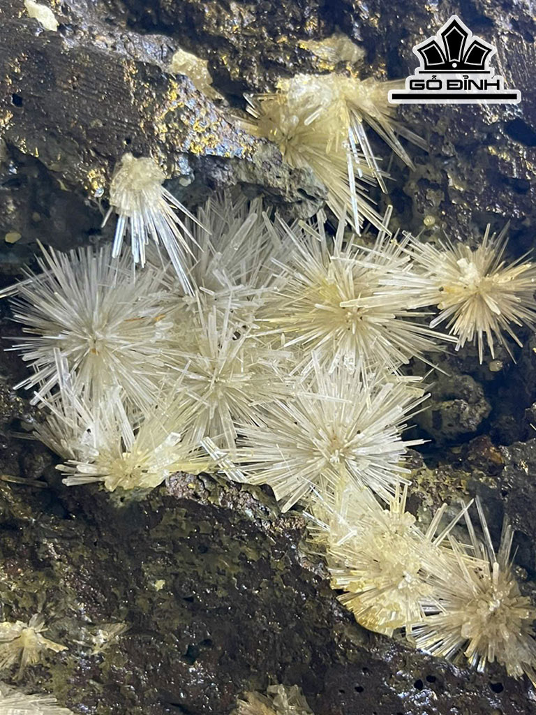 Bông Hoa Ưu Đàm Đá Trầm Tích Cao 38 (cm) 10kg