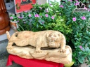 tuong-bao-san-moi-go-ngoc-am-cao-34-ngang-88-sau-28-cm-436088