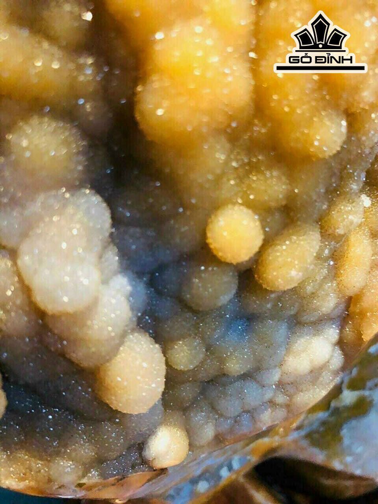 Tác Phẩm Đá Can Thạch Cao 69 Ngang 58 (cm) 24,8kg Riêng Đá Cao 50 Ngang 33 (cm) 14,3kg