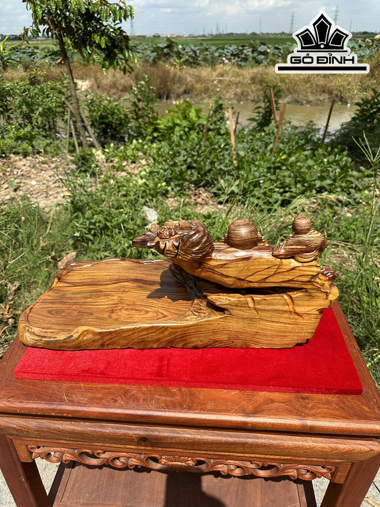 khay-tra-go-cam-cao-23-ngang-50-sau-25-cm-437624