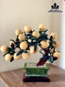 Cây Đào 18 Quả Đá Ngọc Hoàng Long Cao 43 Ngang 48 (cm) 9kg