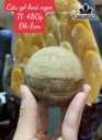bi-cau-go-hoa-ngoc-duong-kinh-7-cm-480g-439400