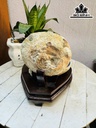 bat-tu-bao-da-ma-nao-cao-18-ngang-13-cm-18kg-440239