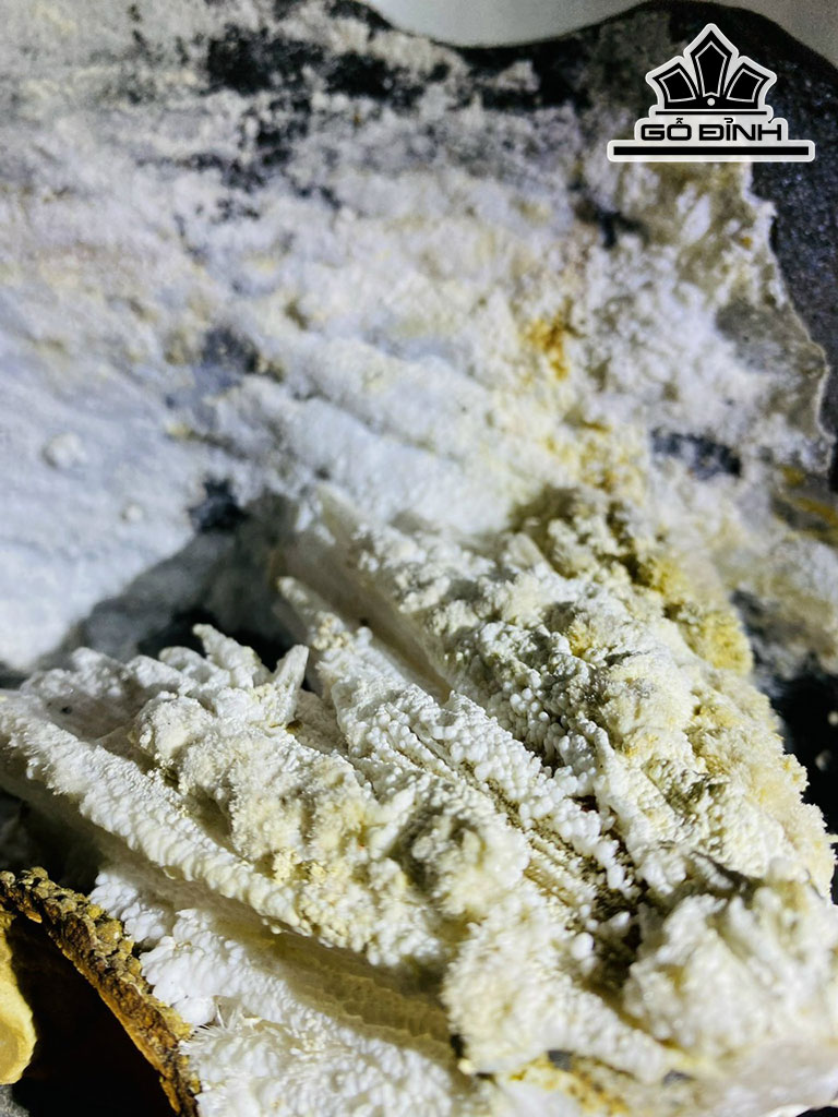 bong-hoa-uu-dam-da-tram-tich-cao-38-ngang-38-cm-27kg-440299