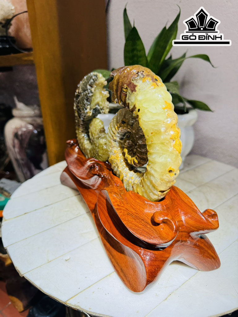 cap-oc-anh-vu-hoa-ngoc-cao-19-ngang-22-cm-18kg-440310