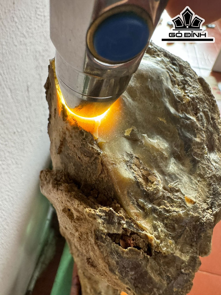 Khúc Rễ Cây Hóa Ngọc Cao 63 Ngang 12 (cm) 8,7kg