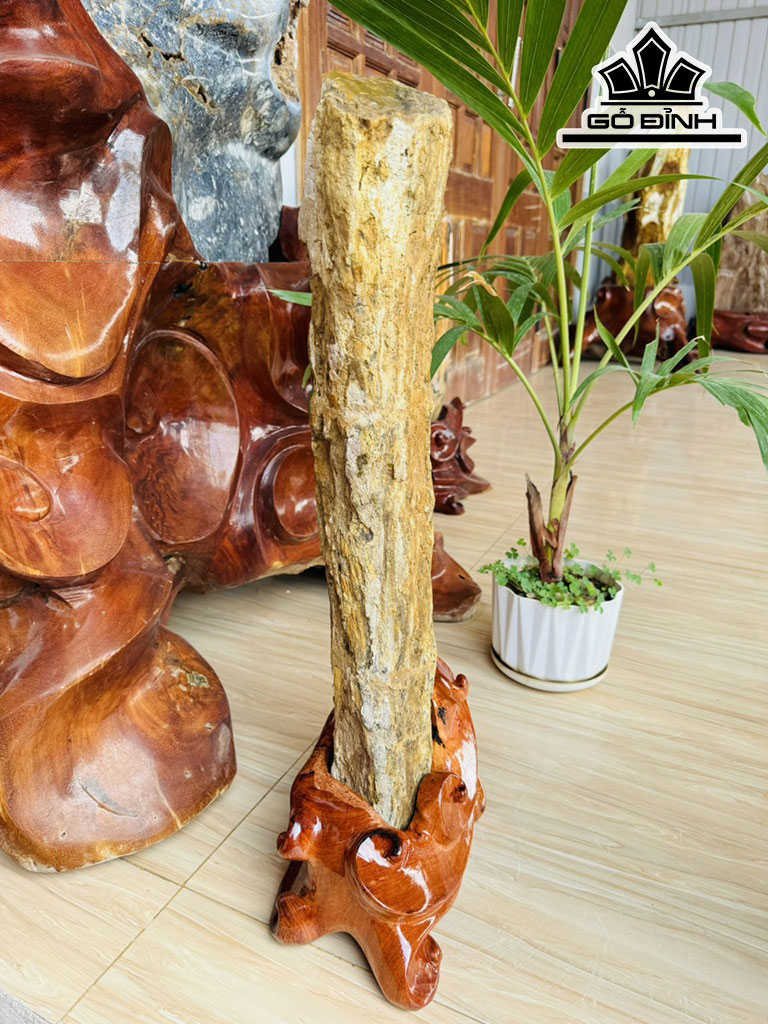 Khúc Rễ Cây Hóa Ngọc Cao 63 Ngang 12 (cm) 8,7kg