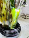 Tác Phẩm Gỗ Hóa Ngọc Xanh Cao 17 Ngang 9 (cm) 0,7kg