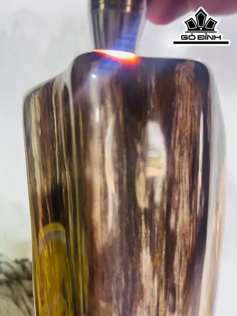 Tác Phẩm Gỗ Hóa Thạch Cao 47 Ngang 18 (cm) 5,1kg