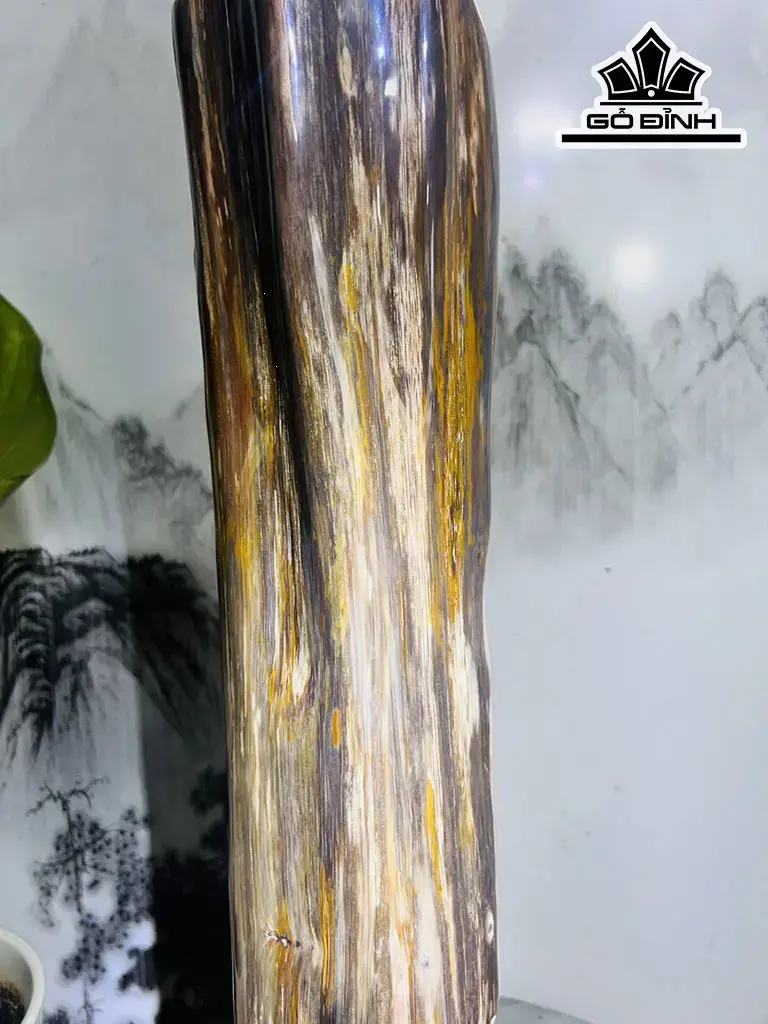 Tác Phẩm Gỗ Hóa Thạch Cao 47 Ngang 18 (cm) 5,1kg