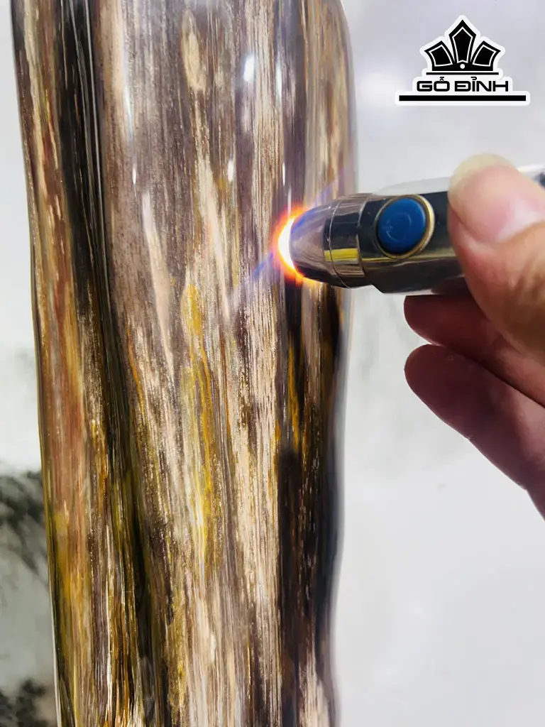 Tác Phẩm Gỗ Hóa Thạch Cao 47 Ngang 18 (cm) 5,1kg