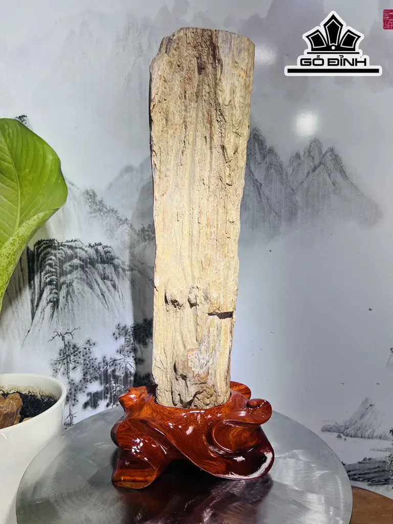 Tác Phẩm Gỗ Hóa Thạch Cao 47 Ngang 18 (cm) 5,1kg