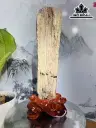 Tác Phẩm Gỗ Hóa Thạch Cao 47 Ngang 18 (cm) 5,1kg
