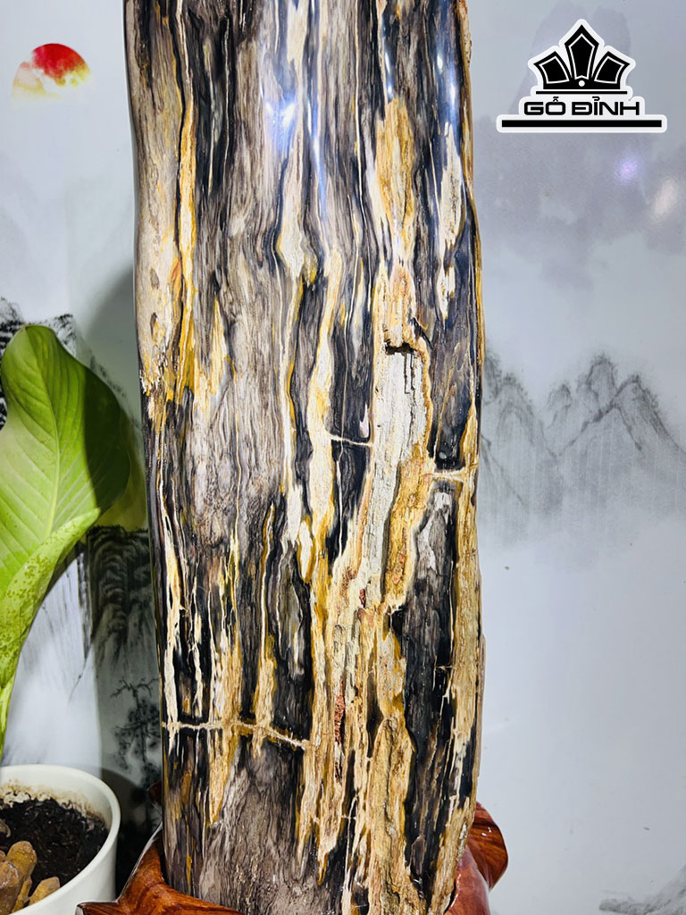 Tác Phẩm Gỗ Hóa Thạch Cao 69 Ngang 25 (cm) 25,5kg