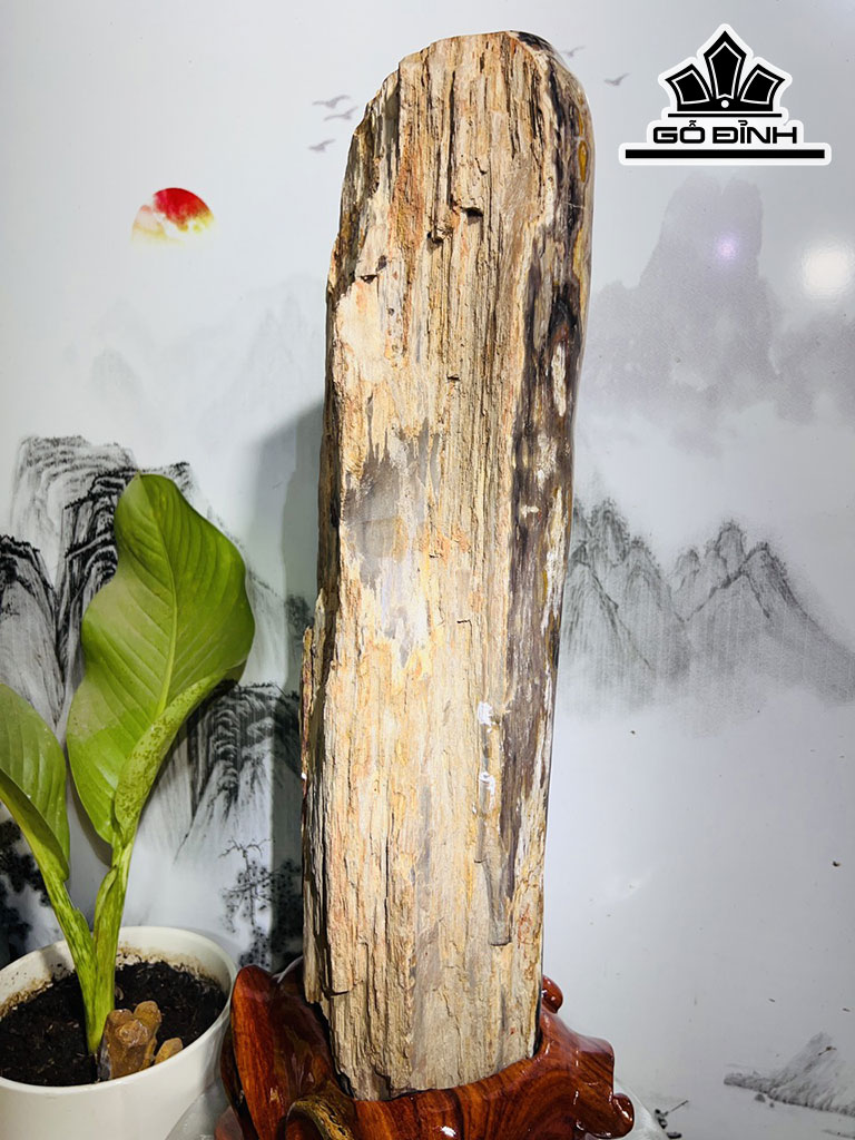 Tác Phẩm Gỗ Hóa Thạch Cao 69 Ngang 25 (cm) 25,5kg