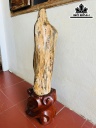 Tác Phẩm Gỗ Hóa Thạch Cao 97 Ngang 18 (cm) 43kg