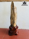Tác Phẩm Gỗ Hóa Thạch Cao 97 Ngang 18 (cm) 43kg
