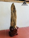 Tác Phẩm Gỗ Hóa Thạch Cao 97 Ngang 18 (cm) 43kg