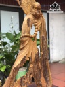 tuong-dat-ma-su-to-go-doi-cao-132-ngang-63-sau-20-cm-440852