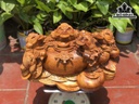 tuong-ngu-coc-ngam-tien-go-huong-cao-38-ngang-63-sau-38-cm-440874