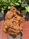 tuong-ngu-coc-ngam-tien-go-huong-cao-38-ngang-63-sau-38-cm-440877