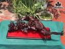 tuong-song-tri-go-trac-cao-34-ngang-65-sau-32-cm-440931