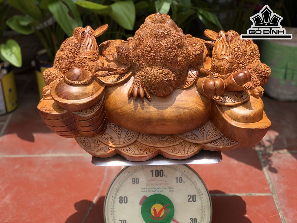tuong-tam-coc-ngam-tien-go-huong-cao-36-ngang-60-sau-38-cm-440943