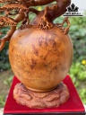 binh-tung-go-nu-huong-cao-72-ngang-65-sau-30-cm-441115