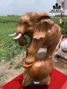 tuong-voi-mau-tu-go-huong-cao-66-ngang-42-sau-3-cm-441412