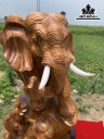 tuong-voi-mau-tu-go-huong-cao-66-ngang-42-sau-3-cm-441413