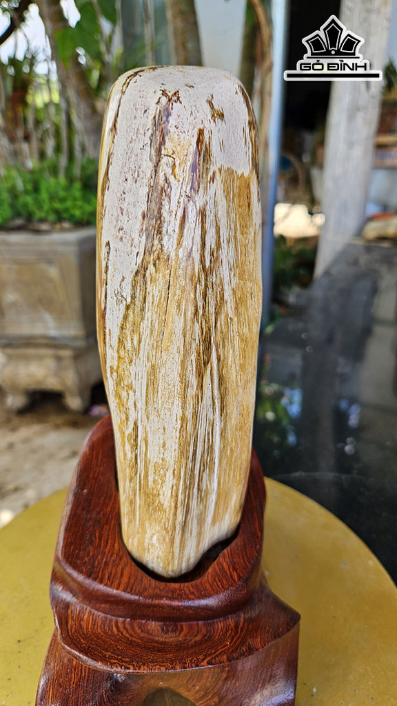 Tác Phẩm Gỗ Hóa Thạch Cao 29 Ngang 10 (cm) 3,5kg