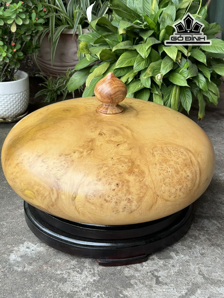binh-phu-quy-go-nu-khao-cao-21-duong-kinh-48-ca-num-29-cm-444745