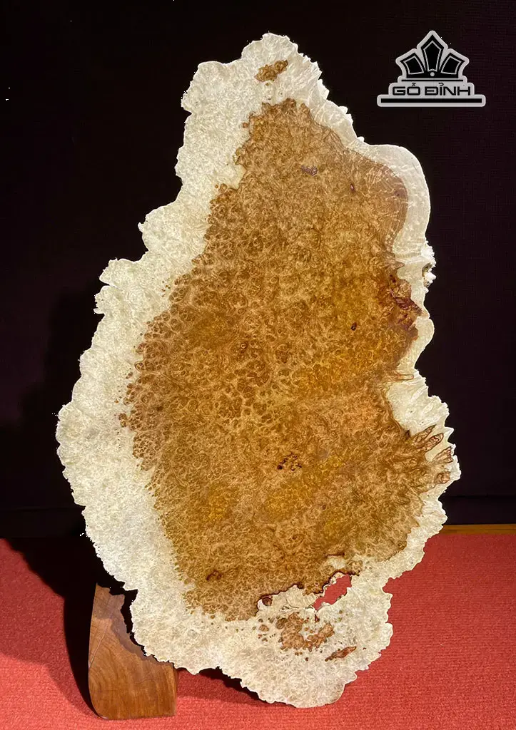 dien-phat-go-nu-huong-cao-56-ngang-34-sau-7-cm-444792