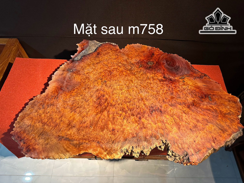tam-tranh-khay-tra-go-nu-huong-ngang-100-rong-60-day-4-cm-444798