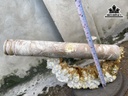 dieu-trung-bay-go-nu-nghien-duong-kinh-9-dai-63-cm-444932