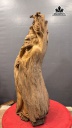 ref-445174