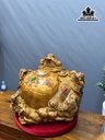 tuong-ngu-coc-tran-chum-tien-go-nu-huong-cao-46-ngang-60-sau-55-cm-445262