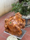 tuong-tam-coc-tran-chum-tien-go-nu-huong-cao-43-ngang-46-sau-46-cm-445281